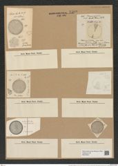 Coscinodiscus radiatus var. minor A. Schum. (de-Toni-Nr.: Genus 202, Species 4972) Zeichnungen Sammlung Grunow Nr. 8589 (NHMW-BOT-W0378241)